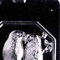 Bird Pour Box Chocolate Mold Elegant Lid with Flying Birds Design